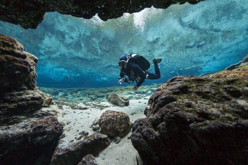 Diving experience in Polignano a Mare with certification