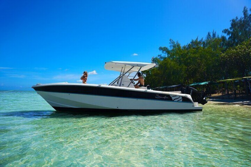 Private Dolphin Watching from the North Of Mauritius