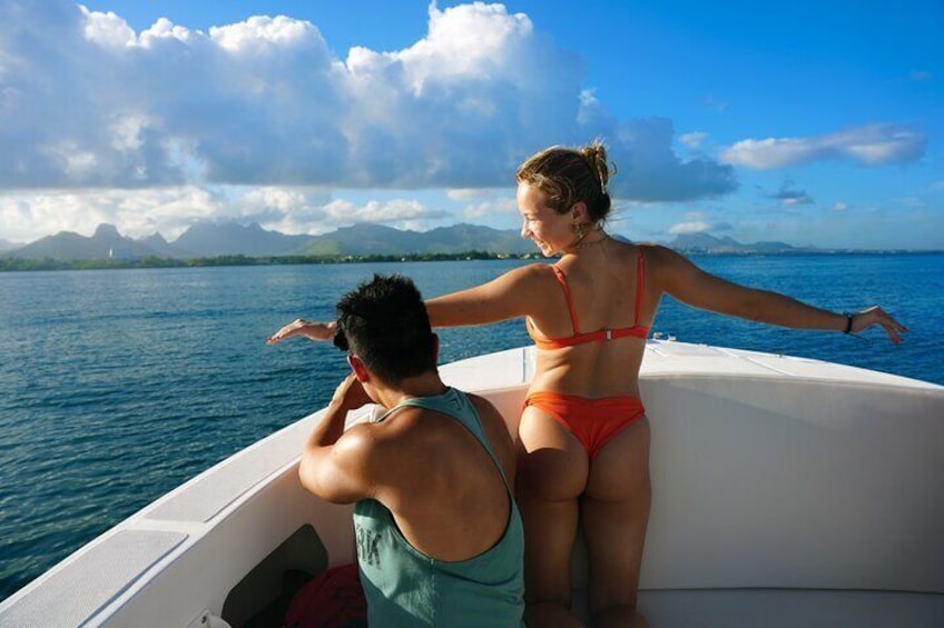 Private Dolphin Watching from the North Of Mauritius 