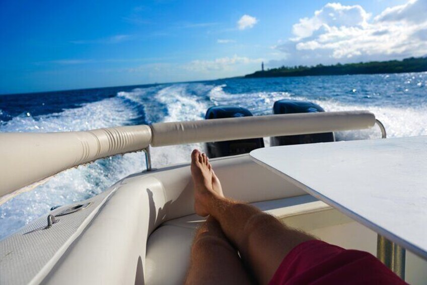Private Dolphin Watching from the North Of Mauritius