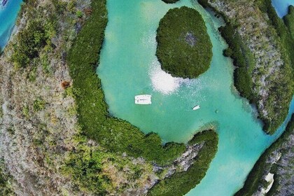 Full Day Mangrove Sightseeing Cruise Shared Tour