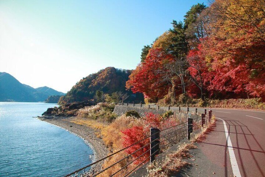 One-Day Tour Around Mount Fuji Departure from Tokyo