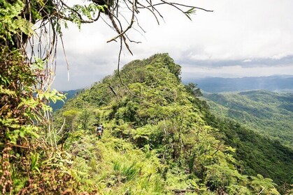 Hiking Adventure including Fiji's Highest Mountain and 3 Nights