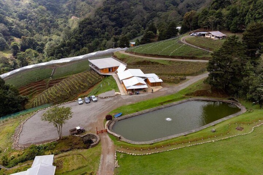 Copey Estate Winery