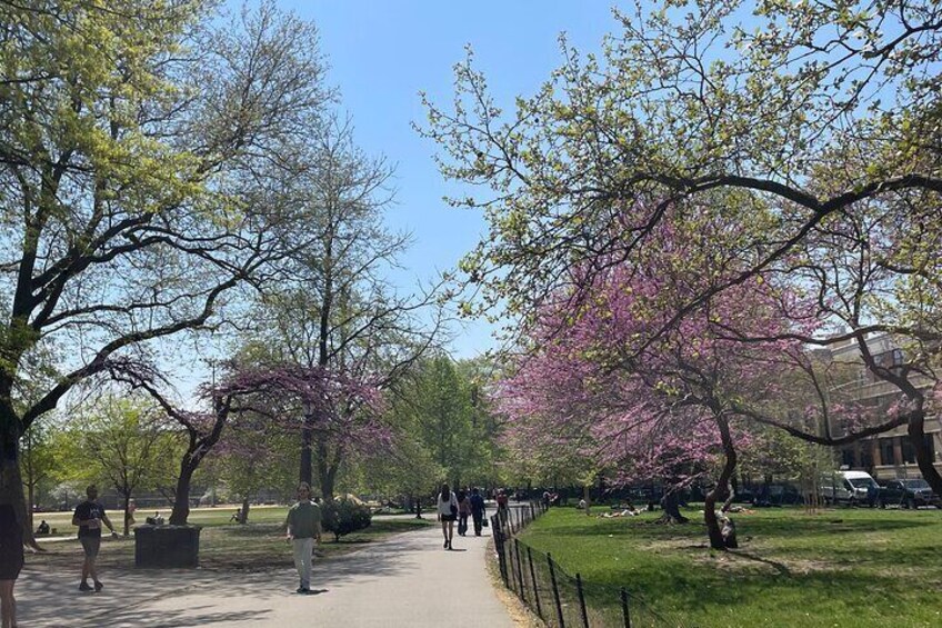 McCarren Park, we walk through here