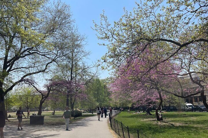 McCarren Park, we walk through here