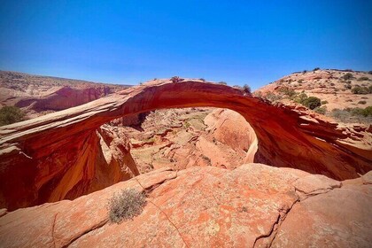 Eggshell Arch Day Tour