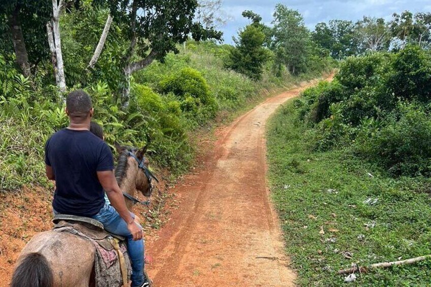 Half-day Horseback Riding through the Mountains Punta Cana 