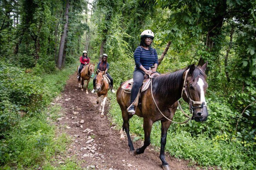 Half-day Horseback Riding through the Mountains Punta Cana 