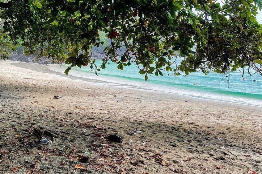 Beach at Manuel Antonio Park