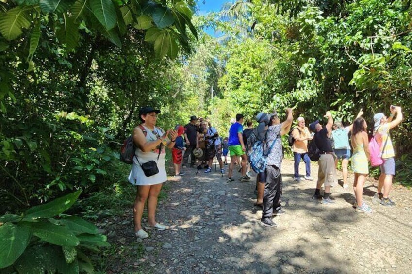 Wildlife observation in the Park's trails