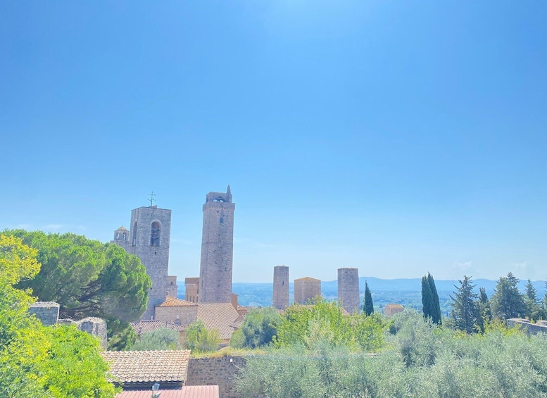 Picture 4 for Activity Florence: Day Trip with Free Time in San Gimignano and Siena