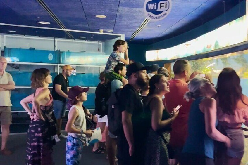 Barcelona Aquarium Flexible Skip the Line Access Entry Ticket