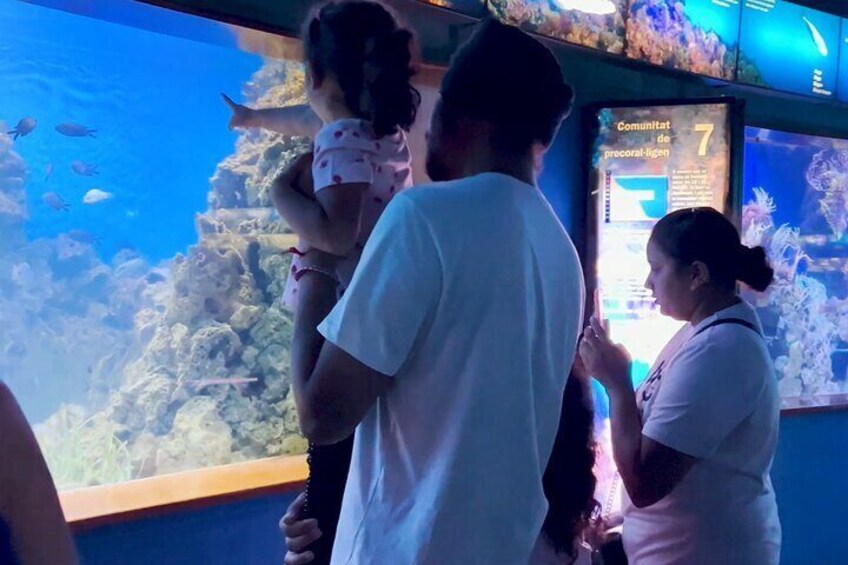 Barcelona Aquarium Flexible Skip the Line Access Entry Ticket