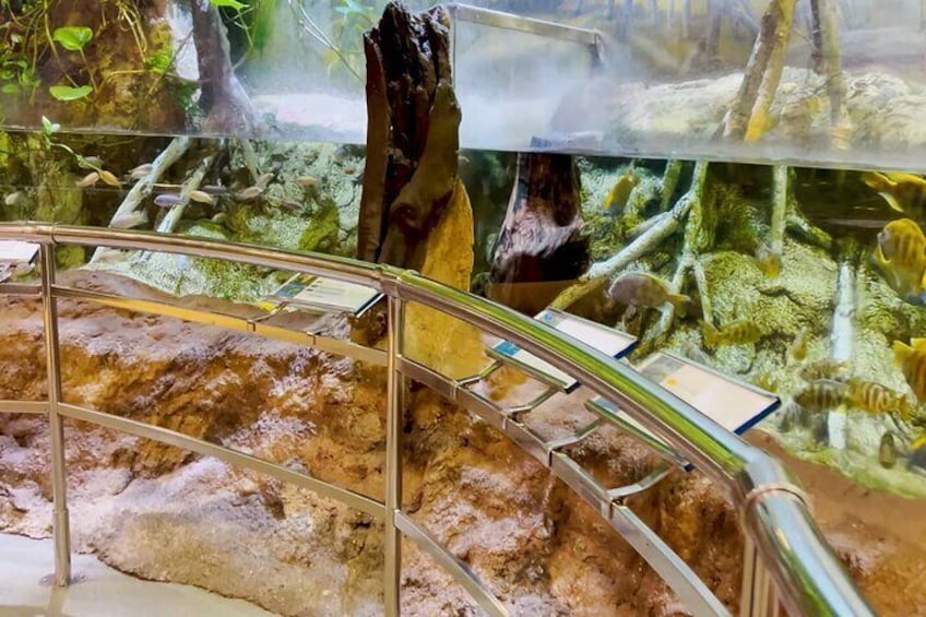 Barcelona Aquarium Flexible Skip the Line Access Entry Ticket