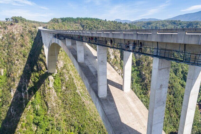  Bloukrans Skywalk Tour and HangOut Zone