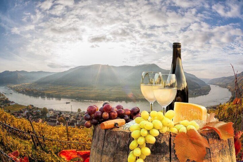 Terraced vineyards