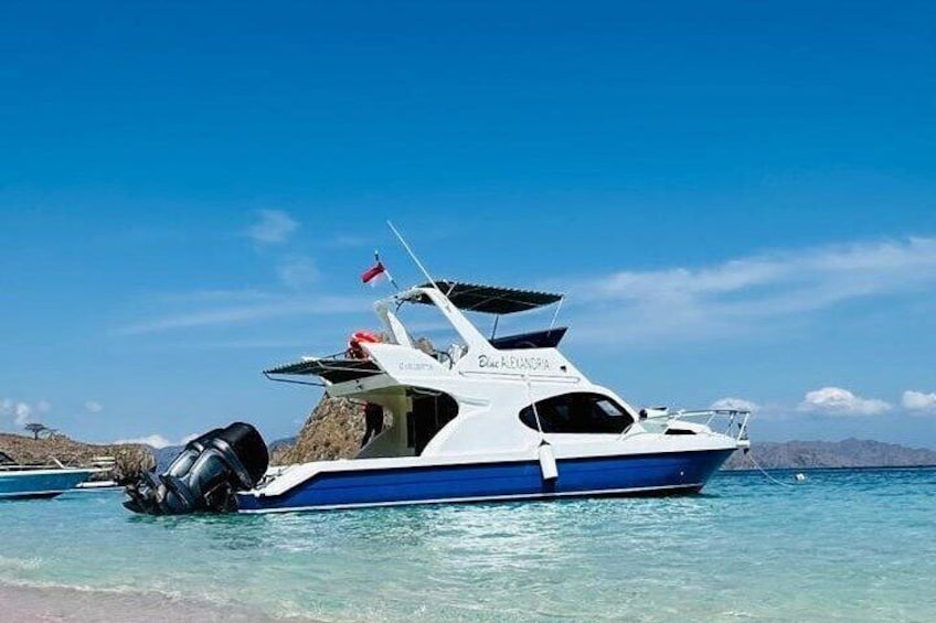 2 Days Shared Speedboat Tour to See Komodo and Sunset Tour