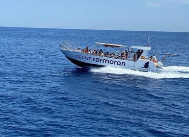 Mallorca: Excursión en Barco por Cuevas, Acantilados y Calas