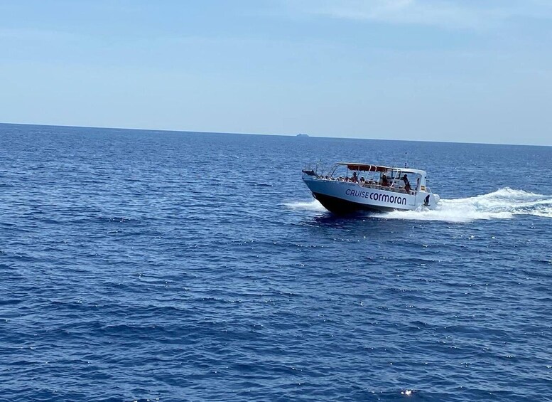 Picture 4 for Activity Mallorca: Caves, Cliffs, and Coves Boat Trip