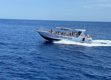 Mallorca: paseo en barco por cuevas, acantilados y calas