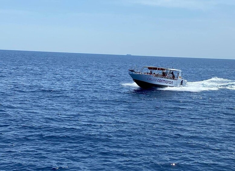 Picture 4 for Activity Mallorca: Caves, Cliffs, and Coves Boat Trip