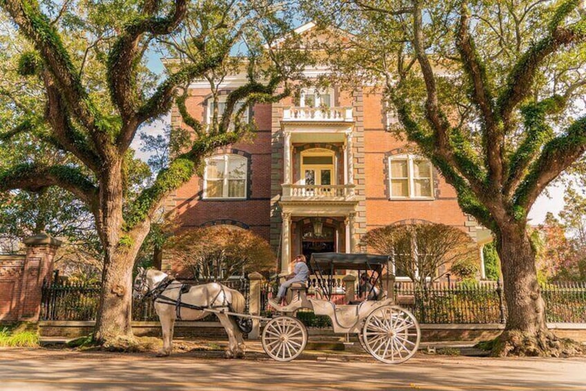 Private Historic Horse and Carriage Tour of Charleston