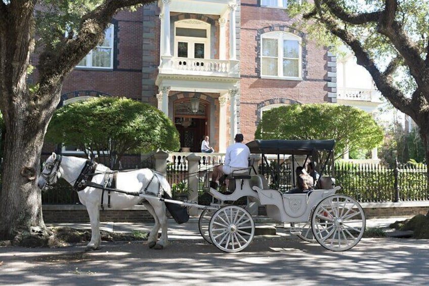 Private Historic Horse and Carriage Tour of Charleston