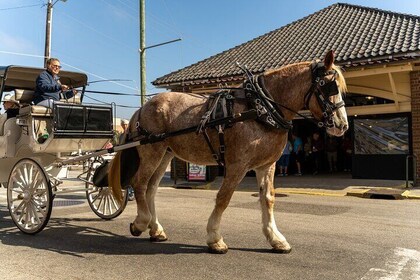 Private Historic Horse and Carriage Tour of Charleston