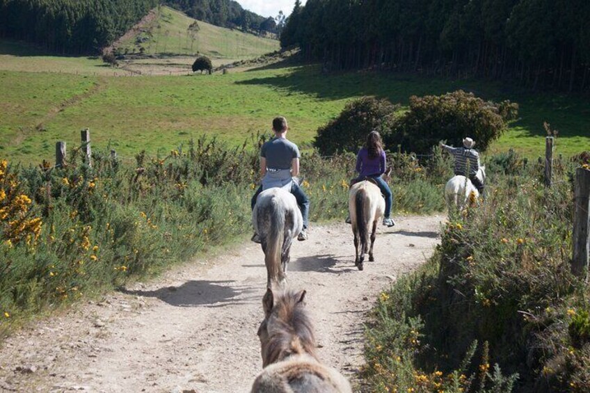 Highlands Horseback Riding in Bogotá