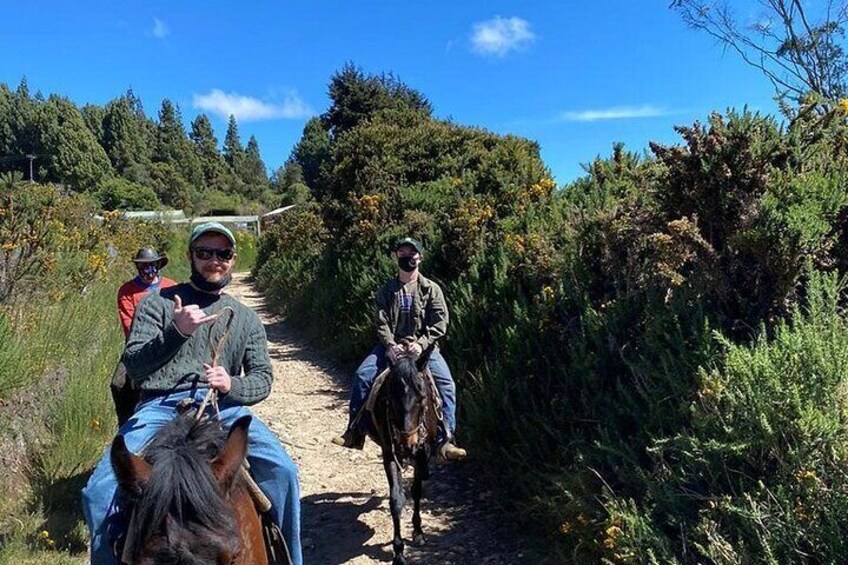 Highlands Horseback Riding in Bogotá