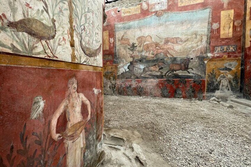 Casa dei Ceii - Private Tour of Pompeii with Annarosa Pisano