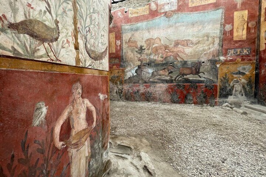 Casa dei Ceii - Private Tour of Pompeii with Annarosa Pisano
