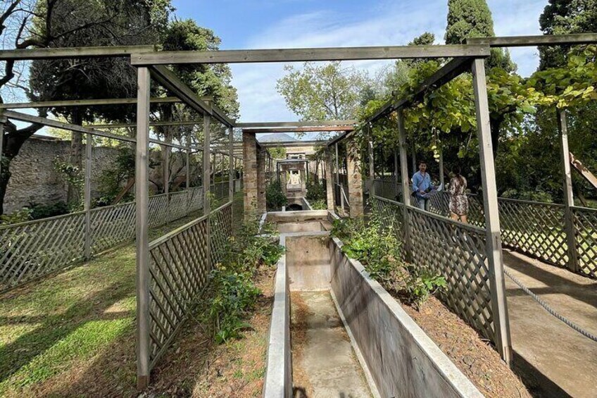Octavius Quartio Domus- Private Tour with Annarosa Pisano