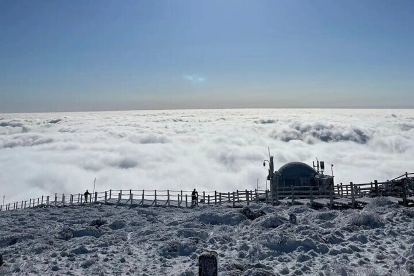 Winter of Hallasan Mountain (Hallasan Peak)