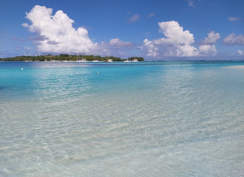 Picture 10 for Activity Tamarin Public Beach: Dolphin Swimming & Snorkeling with BBQ