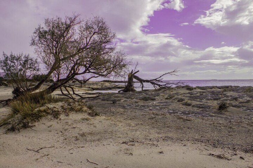 Elafonisi Beach