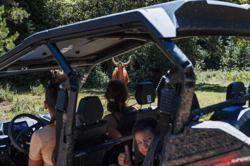 4h Buggy Tour • Arcos de Valdevez • Peneda Gerês
