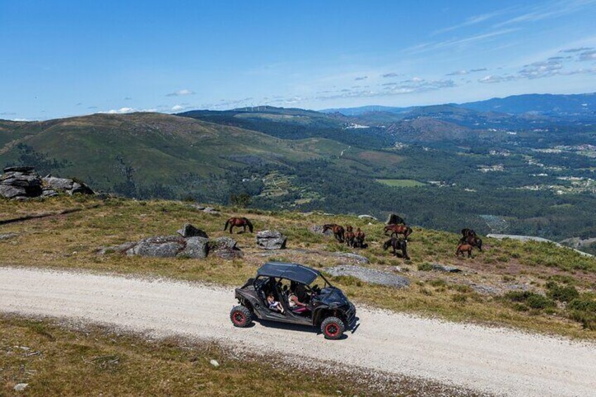4h Buggy Tour • Arcos de Valdevez • Peneda Gerês