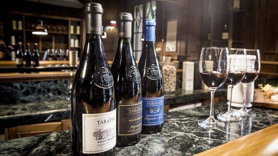 Private Tarapaca in Zeifendl Lunch and Santa Ema Winery Tour