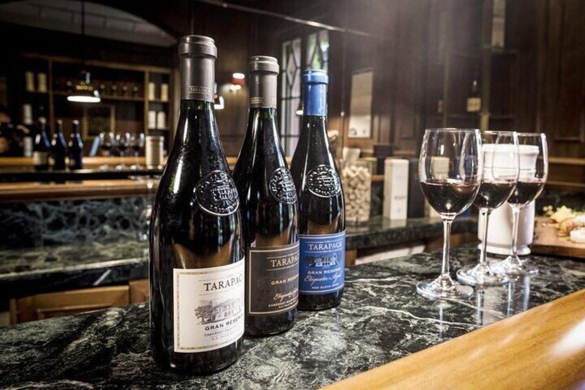 Private Tarapaca in Zeifendl Lunch and Santa Ema Winery Tour