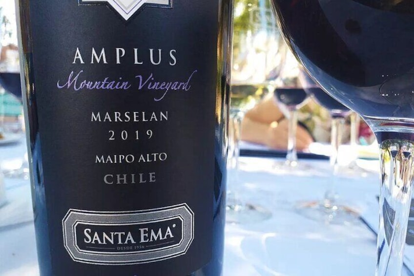Private Tarapaca in Zeifendl Lunch and Santa Ema Winery Tour