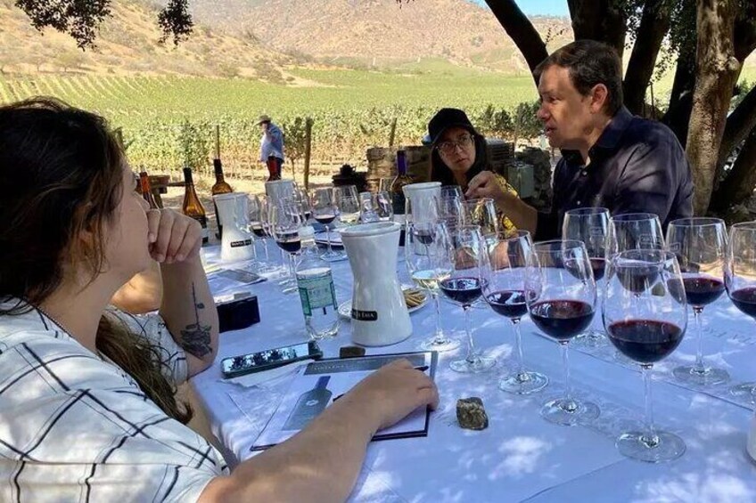 Private Tarapaca in Zeifendl Lunch and Santa Ema Winery Tour