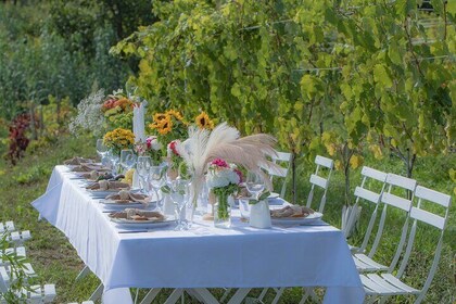 Dinner in the Vineyard Saint Tropez