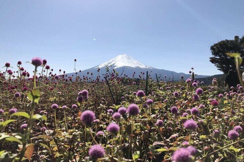 Mount Fuji One-day Tour from Tokyo, Japan