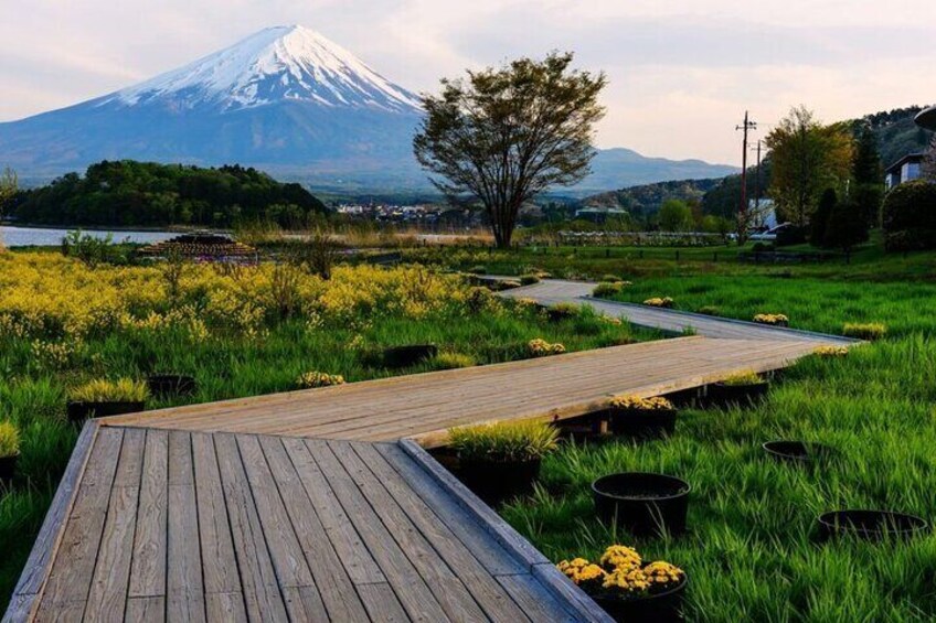 Mount Fuji One-day Tour from Tokyo, Japan