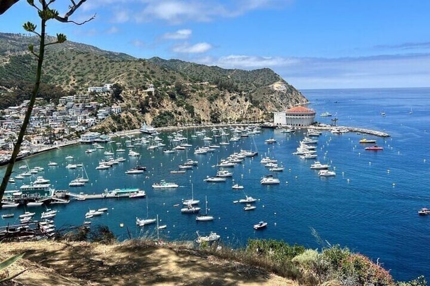 Catalina Island Golf Car App Guided Tour