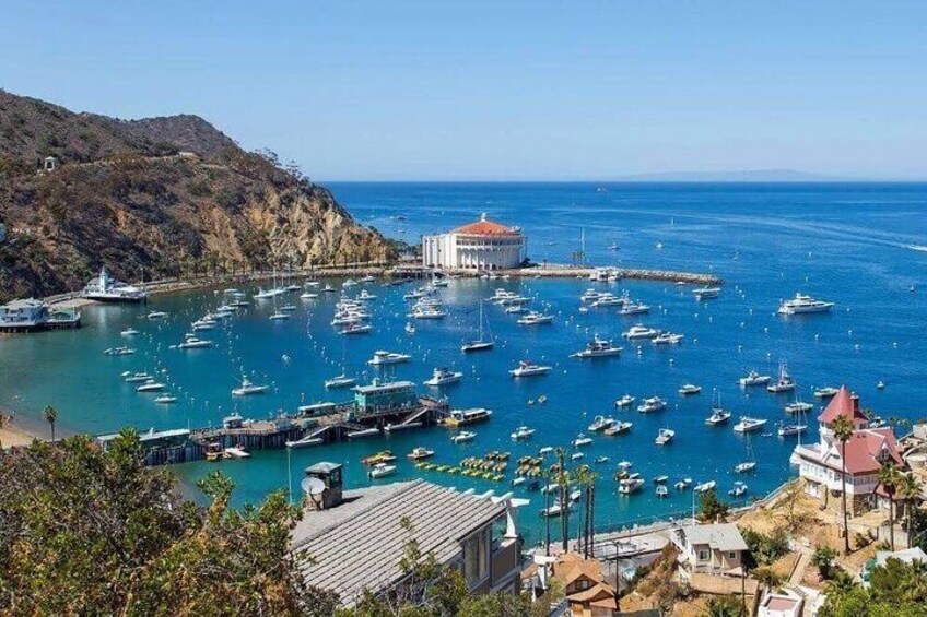 Catalina Island Golf Car App Guided Tour