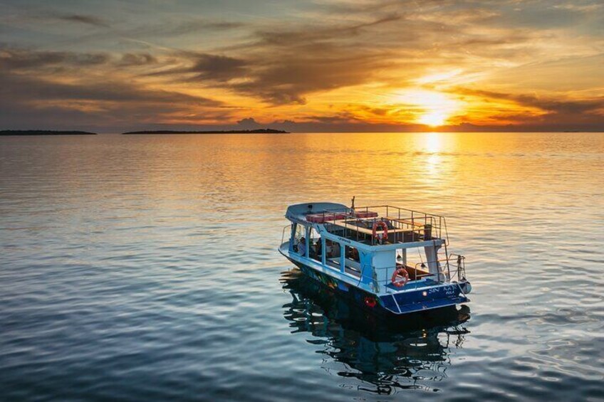 3 Hours Shared Sunset and Dolphin Safari in Fažana