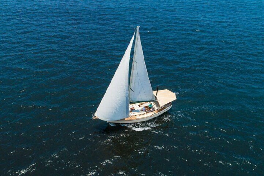 VIP Sailing Experience Puerto Vallarta